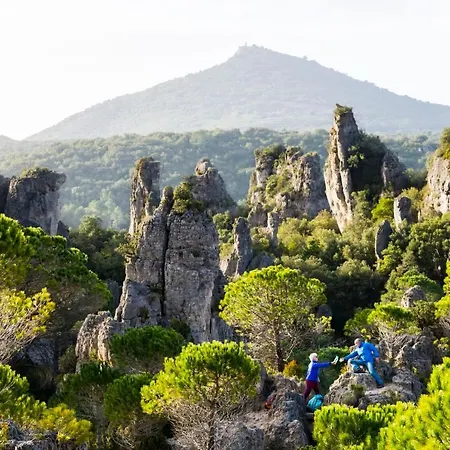 Le Cosy * Clermont-lʼHérault