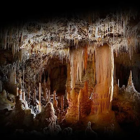 Le Cosy Clermont-lʼHérault