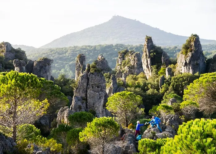 Le Cosy * Clermont-lʼHérault