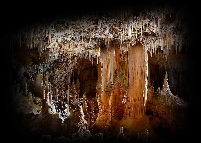 Le Cosy Clermont-lʼHérault